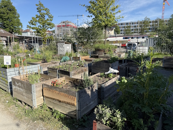 Gemüsegarten